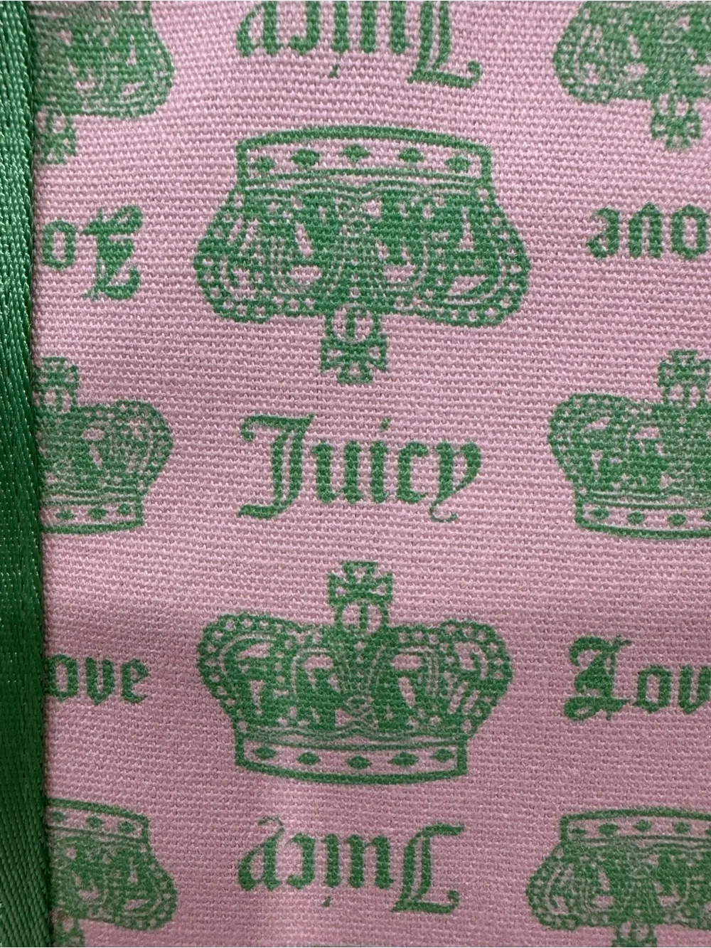 NWT- Juicy Couture Pink Tote with Green Trim and Matching Accessoriest